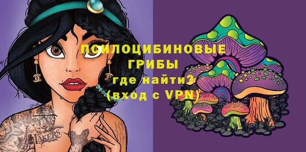 ECSTASY Семилуки