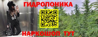 шишки Бугуруслан