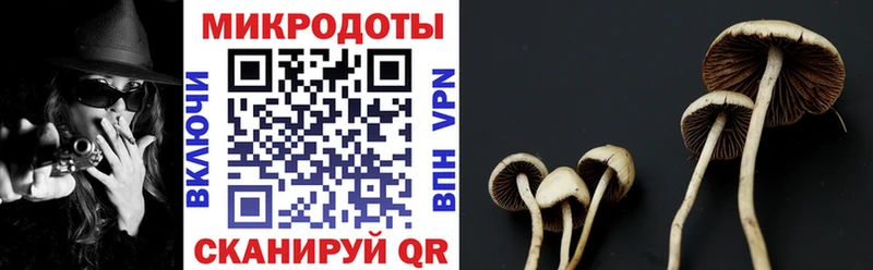 Псилоцибиновые грибы мицелий  купить наркотики сайты  Саки 