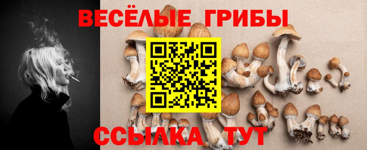 Саки  Псилоцибиновые грибы Cubensis  Вход с VPN  наркотики  Псилоцибиновые грибы мицелий 