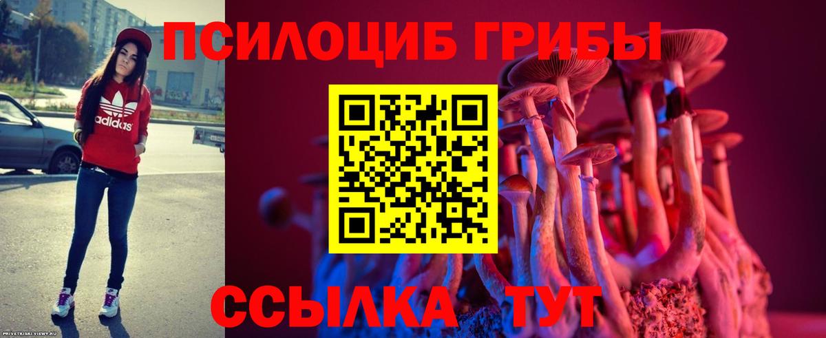 Псилоцибиновые грибы мухоморы Саки